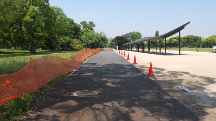 5月の夢の島公園:東京スポーツ文化館体育館前を通り抜けて夢の島熱帯植物館前へ PART1