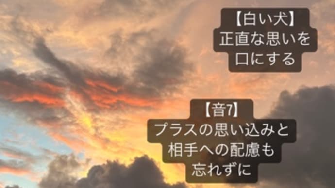 〜マヤ暦　K177 赤い地球・白い犬・音8〜　「黄色い戦士」の日は，動いてみよう