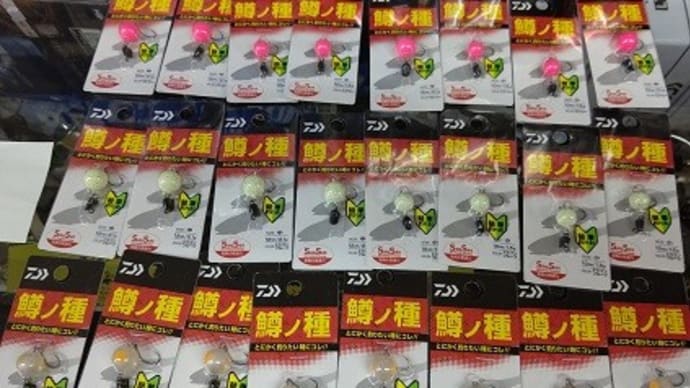鱒の種＆エギ入荷品