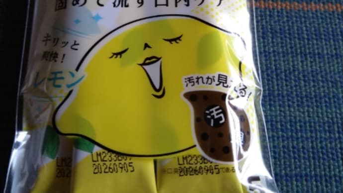 使ってみた