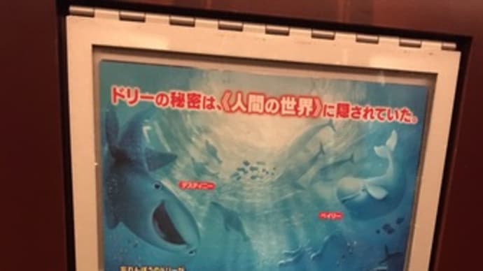 ドリーを探せ!