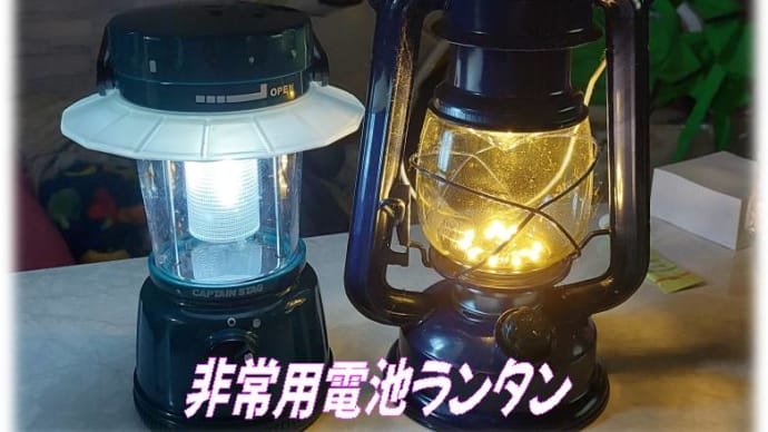 いきものさがし。。。。ヘルメット兵士カメムシ＆水辺の調査＆台風対策