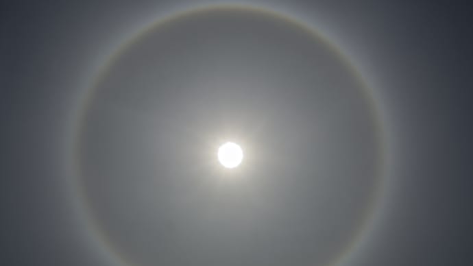 XXXXの帰りに、ふと空を見上げたら日暈がありました(2025.05.14)