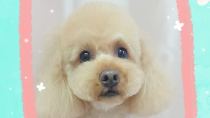 27日のお客様