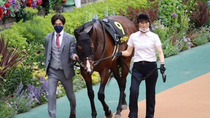 春競馬11