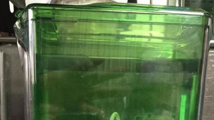 おいしい水、飲んでますか?