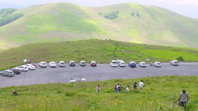 夏の霧ヶ峰・・・車山肩のあたりの・・・ニッコウキスゲとコバイケイソウの風景