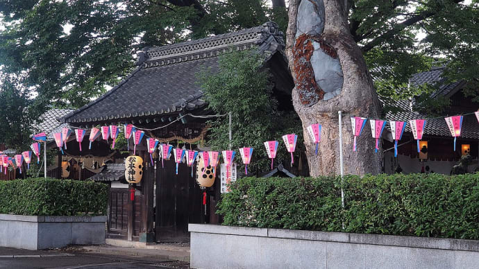 ★夏祭りの後 2019