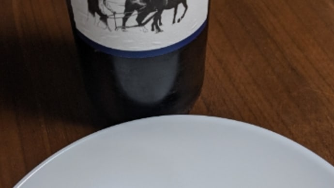 日本 vs フランス