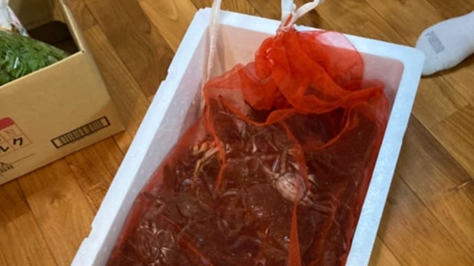今日の一品 お馴染みの週末の箱買い(爆買いシリーズ)