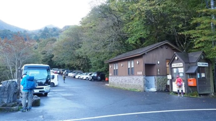 大山カメのタテバエ
