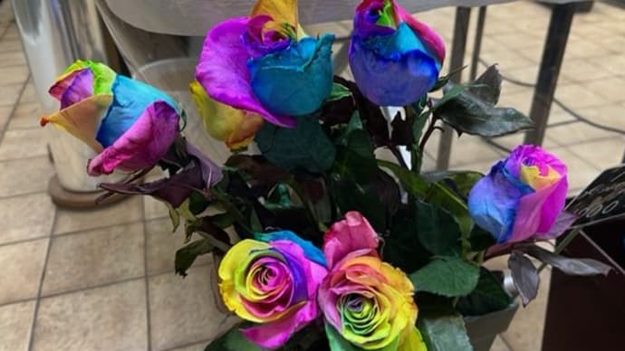 虹色の薔薇（レインボーローズ）を作る方法！