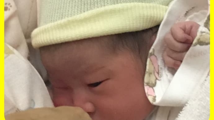 保健師さんって、どんな仕事