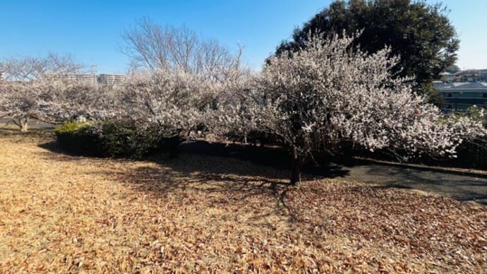 春の陽気