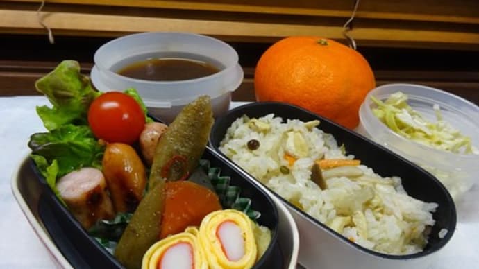 炊き込みご飯のお弁当と、国立科学博物館ミイラ展
