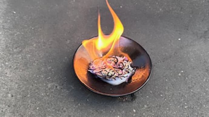 何度目かの恍惚と不安。