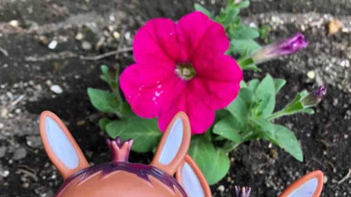 ロバくんと赤い小さな花