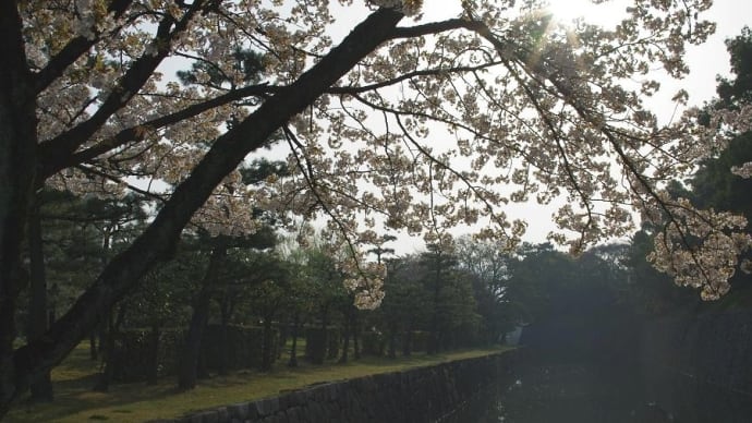 今朝の京都　・　二条城付近