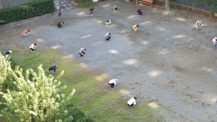 今日 家具が入って、やっと段ボール箱机から 解放されました。