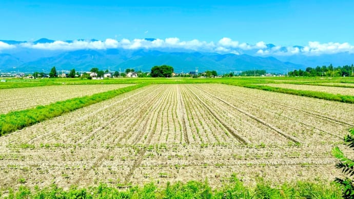 自由詩人クラブ　No.117　運がつく