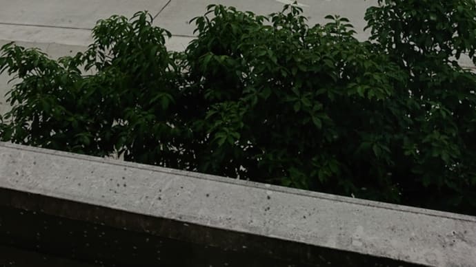 津市は海岸沿いの環境がとても良くなります!