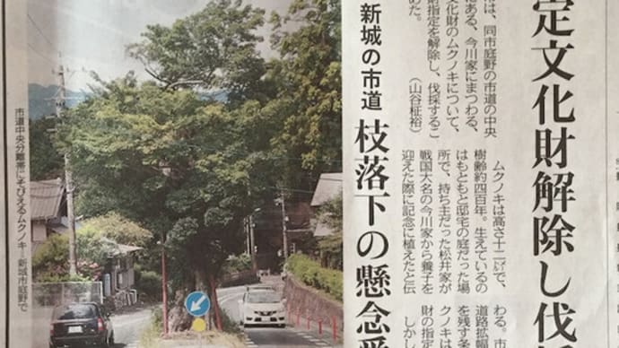 発表報道か、調査報道か