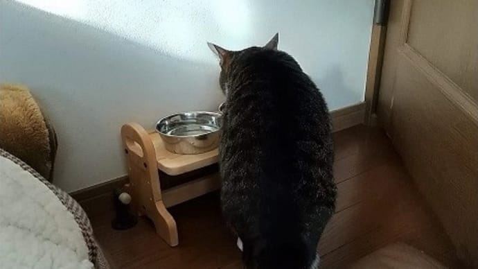 ノスタルジー