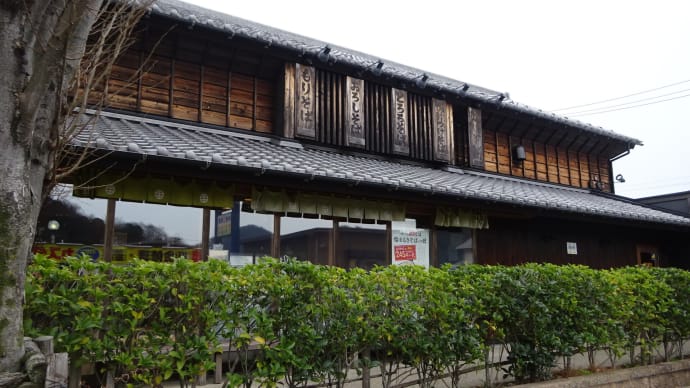 カレー蕎麦・林陽寺のしだれ桜　@岐阜市岩滝西・岩田西