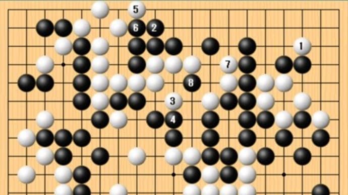 第35期女流名人戦第二局