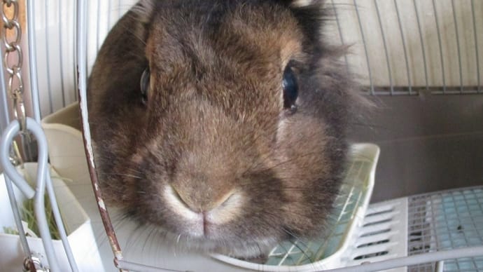 そうか、保険があった!