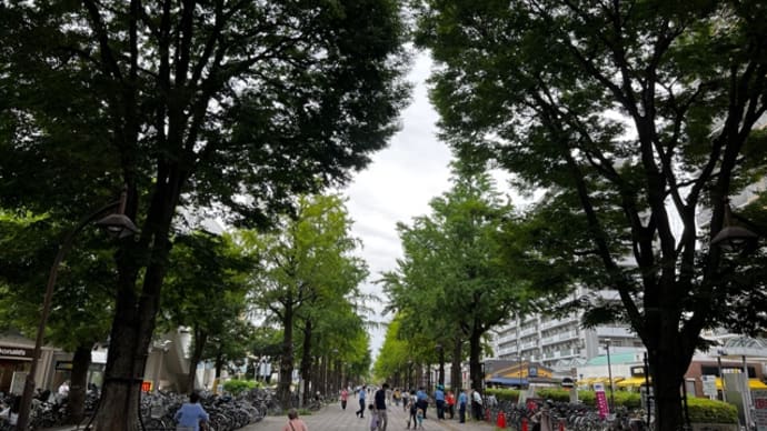 【教室】東京・光ヶ丘沖縄三線教室お稽古‼️