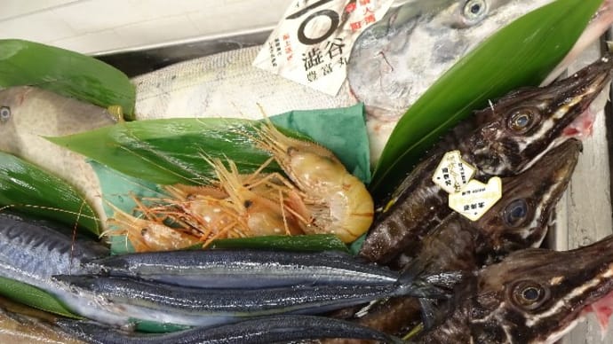水曜は定休日です！！刺身と手作り干物の専門店「発寒かねしげ鮮魚店」。