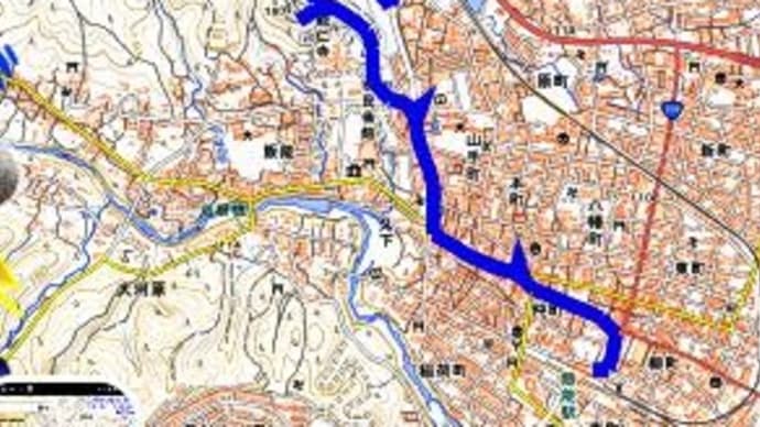 2025年 4月29日(火)の「日和田山」・「巾着田」・「高麗峠」・「天覧山」(1)