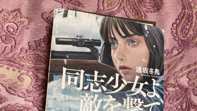 同志少女よ、敵を撃て
