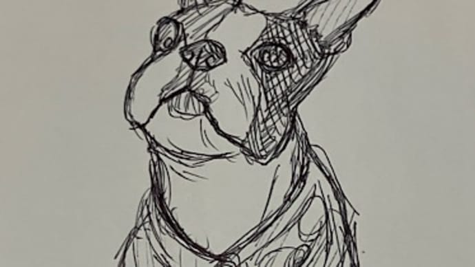 ぼすぼす。てりてり。