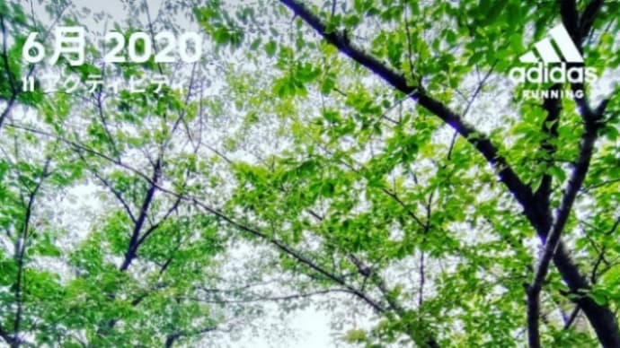 6月もなんとかクリア