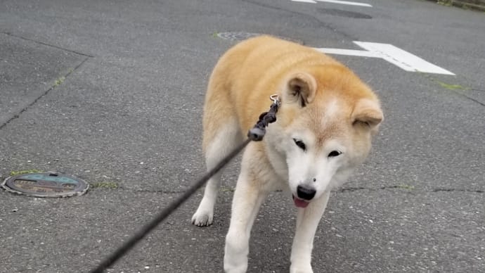 ママの痛みはクリンの痛み(？)