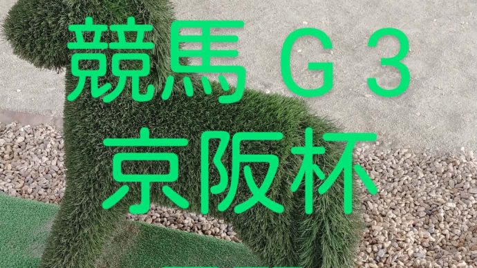 レース結果 競馬G3 京阪杯を振り返る 馬券結果