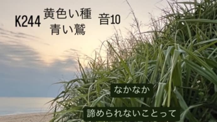 〜マヤ暦 K 244黄色い種・青い鷲・音10〜 ワクワクで過ごす「音9」の日