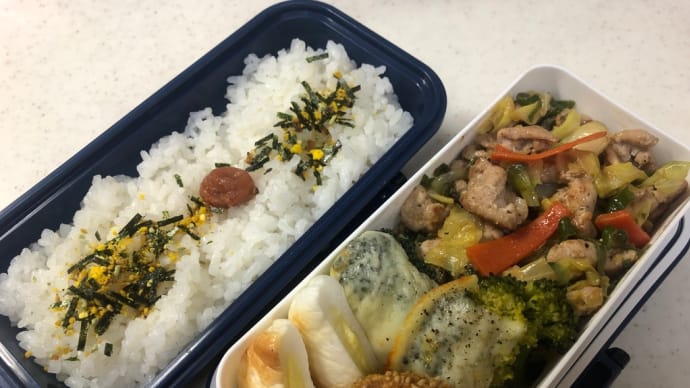 3月28日のお弁当