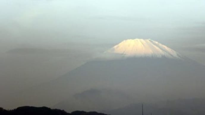 早朝に雨が上がり、富士山が望まれた