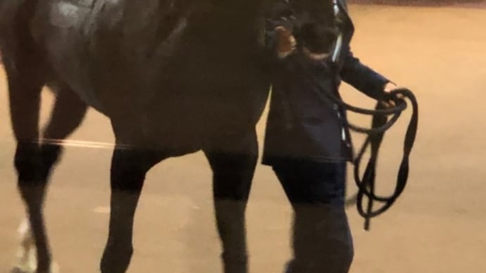 ソングライン、完勝で未勝利脱出‼️