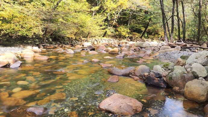 ★秋の須砂渡(烏川・アオツヅラフジの実)2022