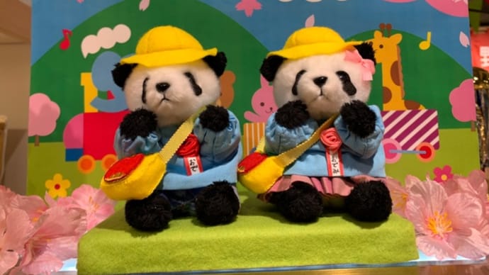 ❤️3/18上野案内所で入園パンダピヨピヨ❤️