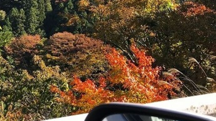 剣山スーパー林道の紅葉＠徳島県