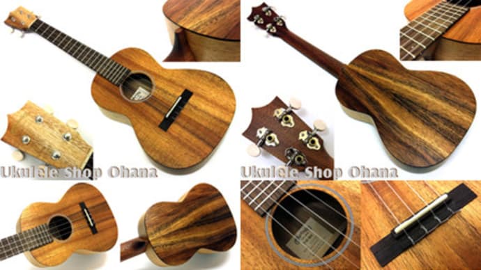 Martin [T1K UKE] テナー４弦♪ハワイアンコア単板ウクレレ入荷です♪