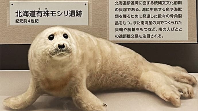 【弥生ニッポン:続縄文・北海道 日本列島37,000年史-33】