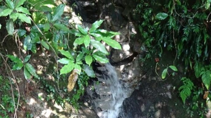小笠山 林道脇で治山工事中