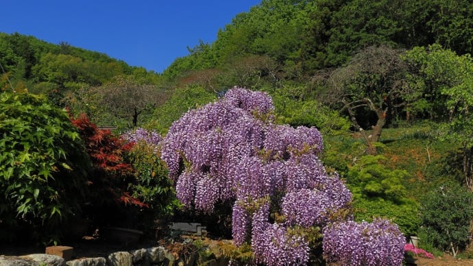 今日から5月