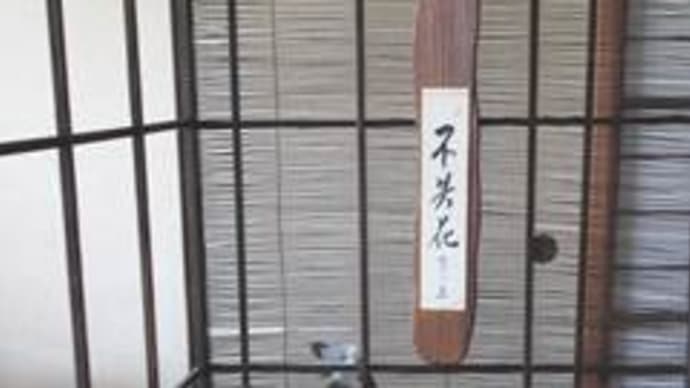 20200805葉月の稽古の前に